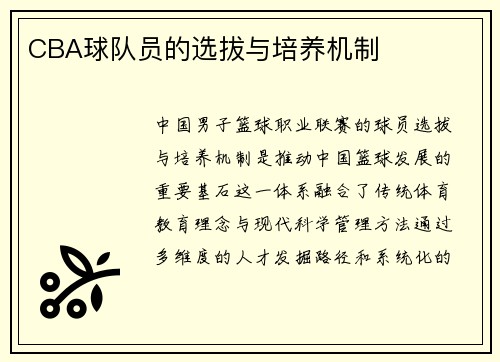 CBA球队员的选拔与培养机制