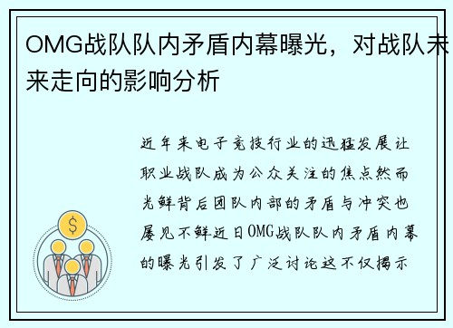 OMG战队队内矛盾内幕曝光，对战队未来走向的影响分析